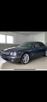 Jaguar XJR  - Jaguar aus 2003