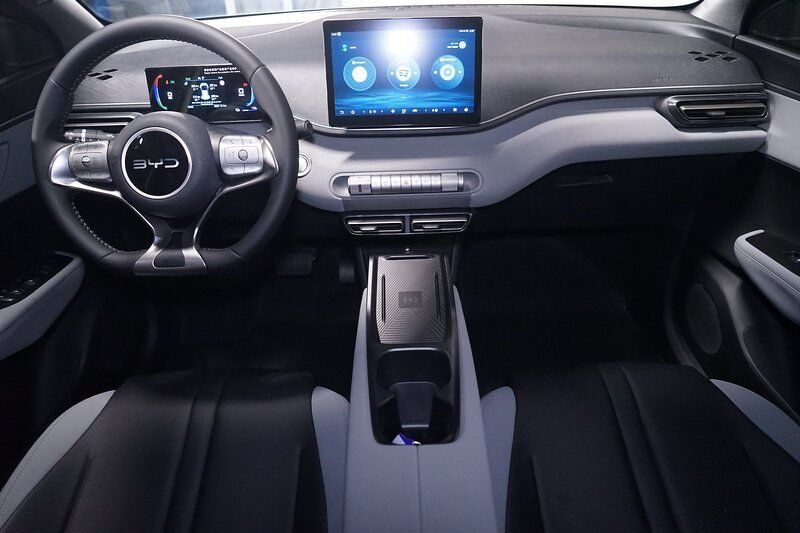BYD DOLPHIN SURF