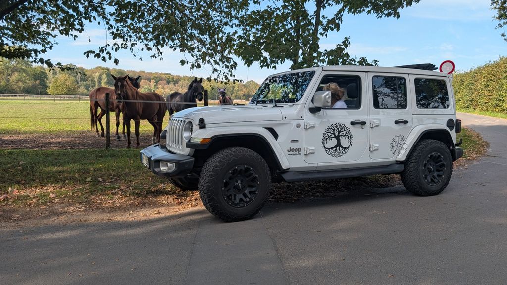Image of Jeep Wrangler