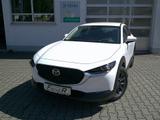 Mazda CX-30 e-SKYACTIV 140 Prime-Line NAVI/KAMERA/HUD - Mazda CX-30: Prime Line