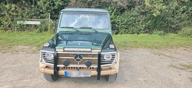 Mercedes-Benz Mercedes G 300GD