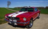 Ford Mustang BJ. 1966 H-Kennzeichen - Ford aus 1966