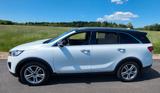 Kia Sorento 2.2 CRDi AWD Platinum ACC AHK 3500KG  - Kia in Aachen