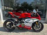Ducati DUCATI PANIGALE V4 SPECIALE ACCESSORIATA 4000KM - DUCATI PANIGALE V4 SP