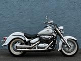 Suzuki VL 800 VOLUSIA *LIEFERUNG BUNDESWEIT MGL* - SUZUKI VL 800