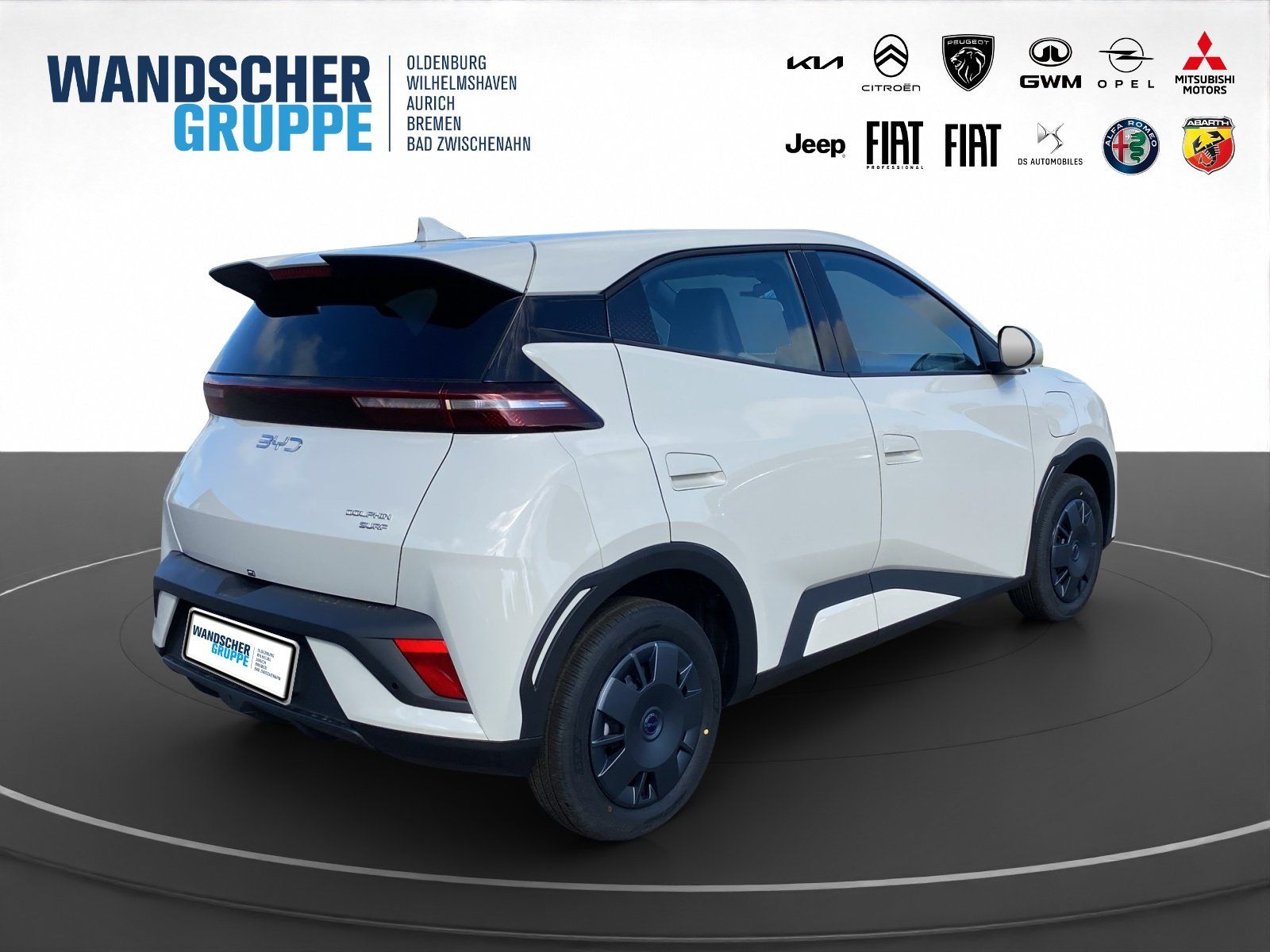 BYD DOLPHIN SURF