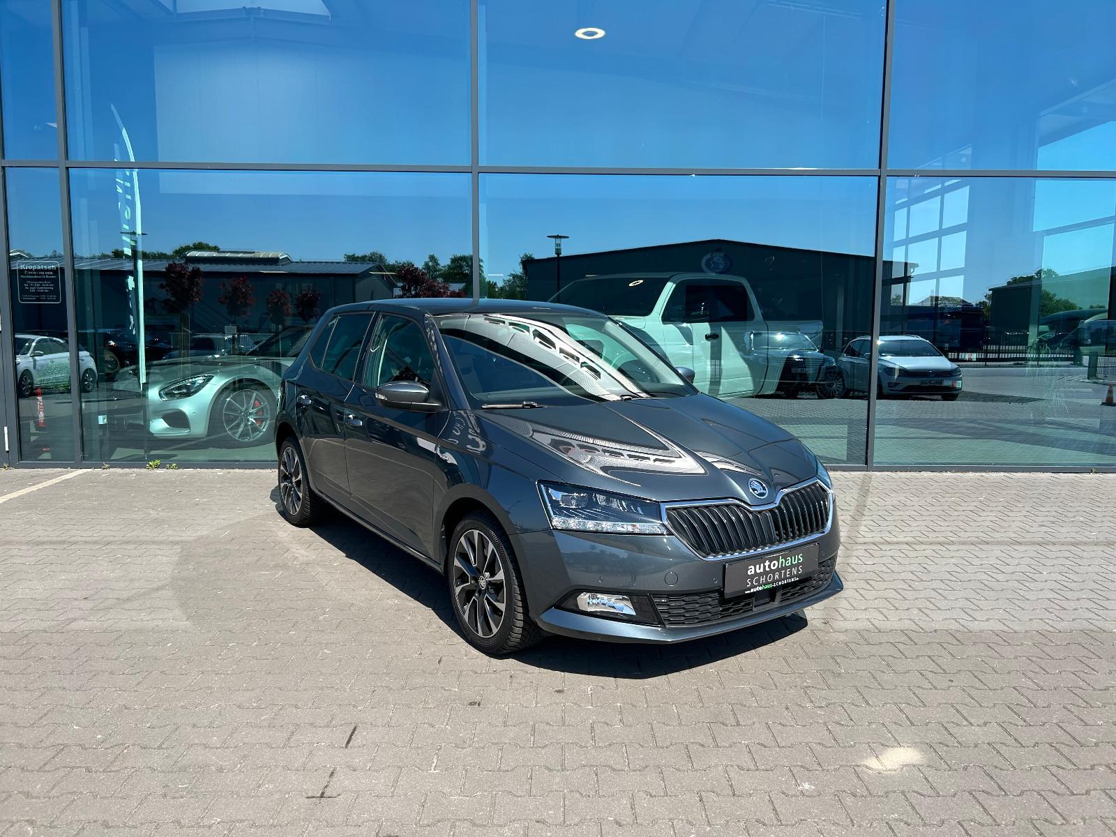 Skoda Fabia Navi ACC LED Kamera Sitzhzng SmartLink