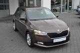 Skoda Fabia "ACTIVE" 1.0 TSI 95 PS ab 4,99% Finz! - Skoda Fabia: 1.9