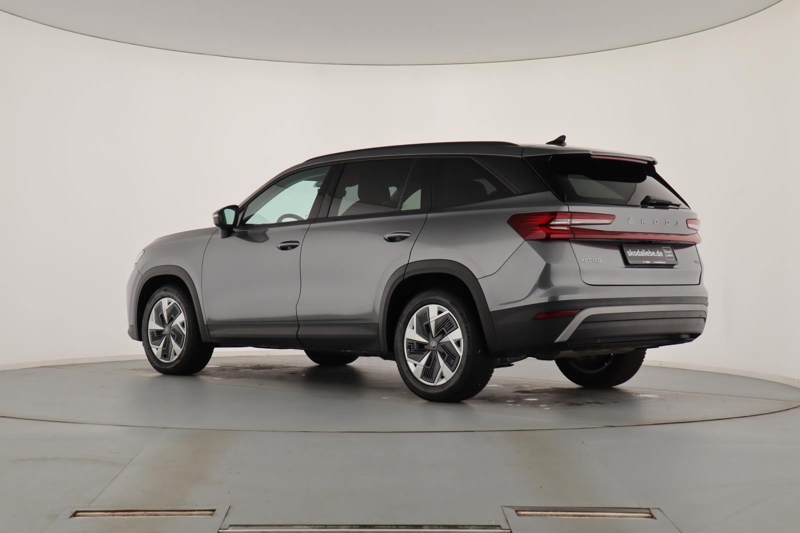 Skoda Kodiaq - Bild 7