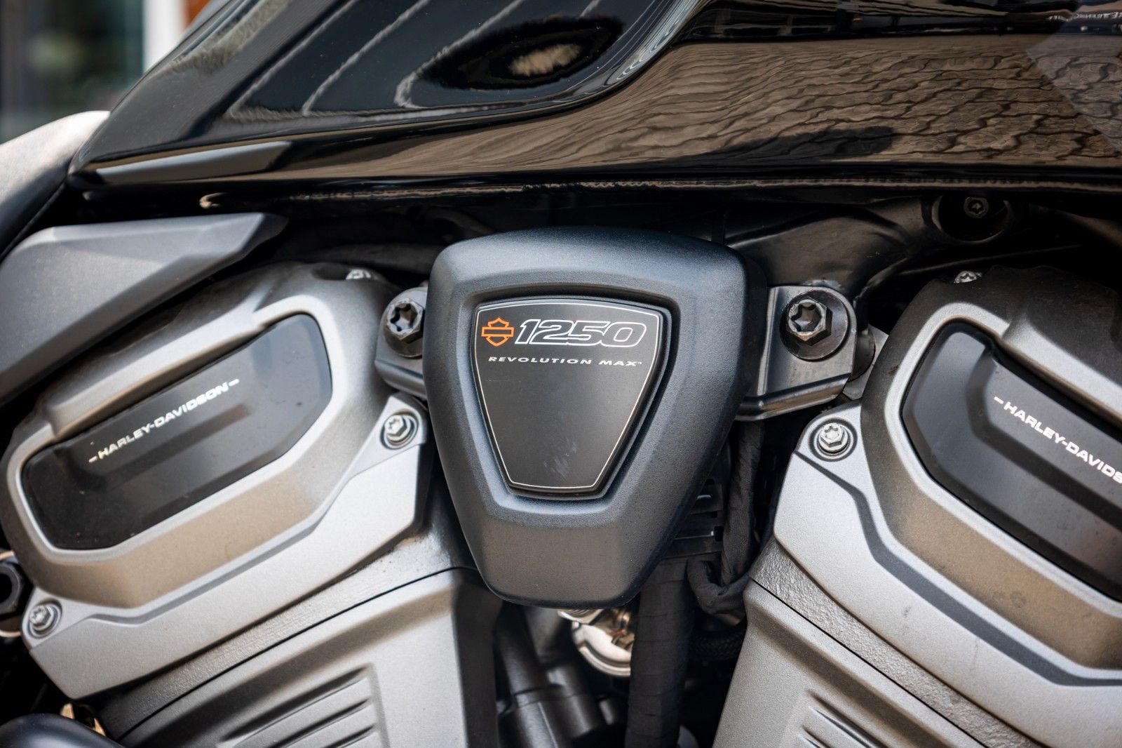 Fahrzeugabbildung Harley-Davidson RA1250S Pan America Special - Screamin Eagle