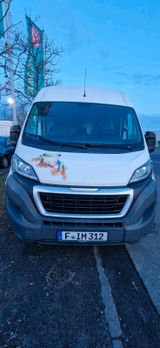 Peugeot  - Boxer - Peugeot Boxer in Frankfurt (Main)