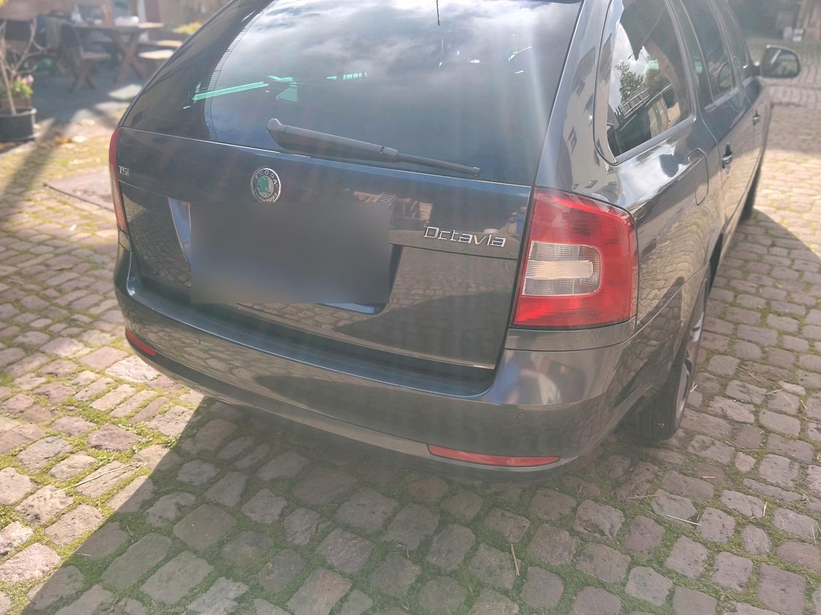 Skoda Octavia 2009 — photo 6