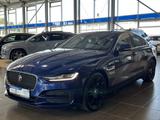 Jaguar XE S Premium*AHK*LED*ACC*Leder*Ambinte* - Jaguar XE aus 2021