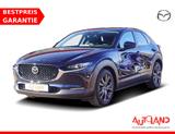 Mazda CX-30 2.0 M-Hybrid Selection 2WD LED Navi Kamera - blaue Mazda CX-30