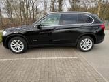 BMW X5 xDrive25d  - BMW X5 in Essen