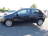 Fiat Punto MyLife 1.Hand   Klima  Navi  Allwetter  TO - Fiat Punto: Mylife