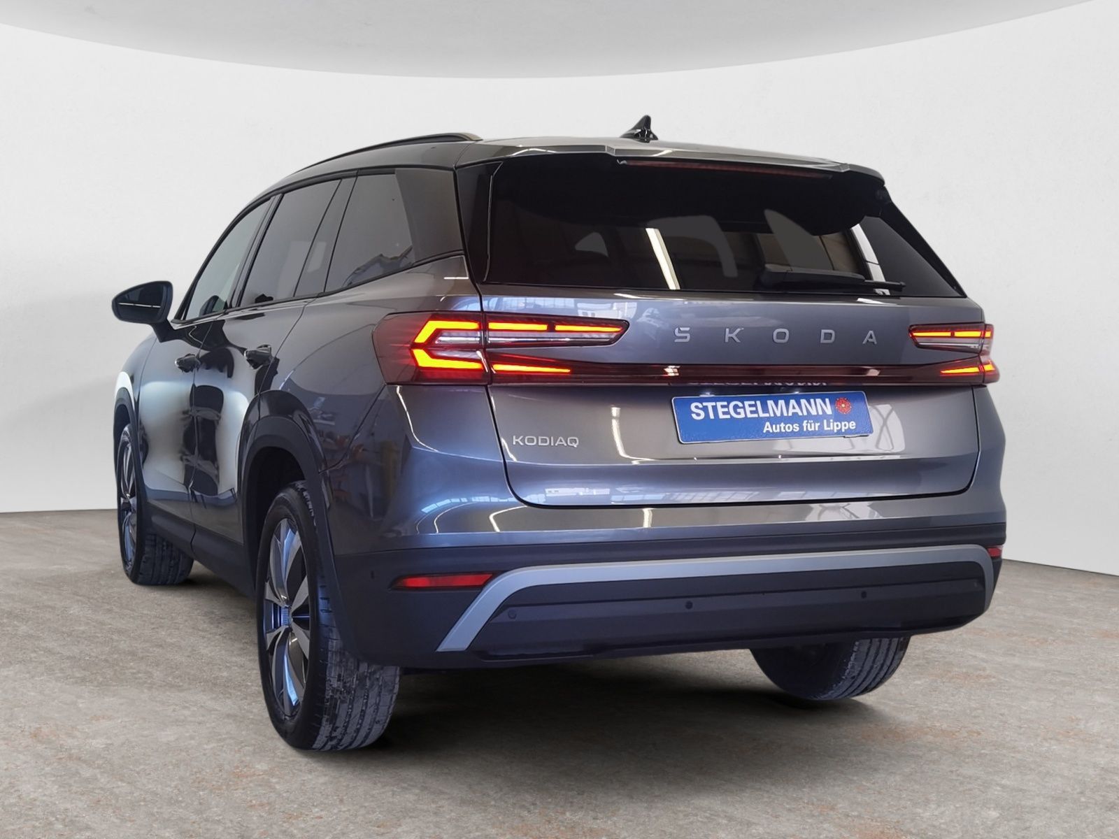 Skoda Kodiaq - Bild 4