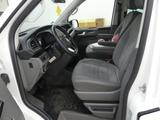 Volkswagen T6.1 California 2.0 TDI Ocean Edition DSG Stdhz - VW T6 California in Magdeburg