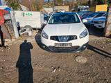 Nissan Qashqai I-Way - Nissan Qashqai i-Way mit Diesel-Antrieb