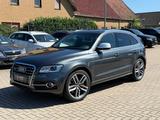 Audi SQ5 3.0 TDI Competition | Pano | Bose | TÜV neu - Audi SQ5: TDI
