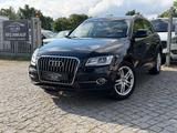 Audi Q5 2.0 TDI S line*Leder*Xenon*Euro6 - Audi Q5: Euro