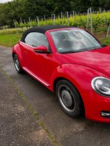 Volkswagen New Beetle Cabrio - top Fahrzeug - Fahrzeug gebraucht