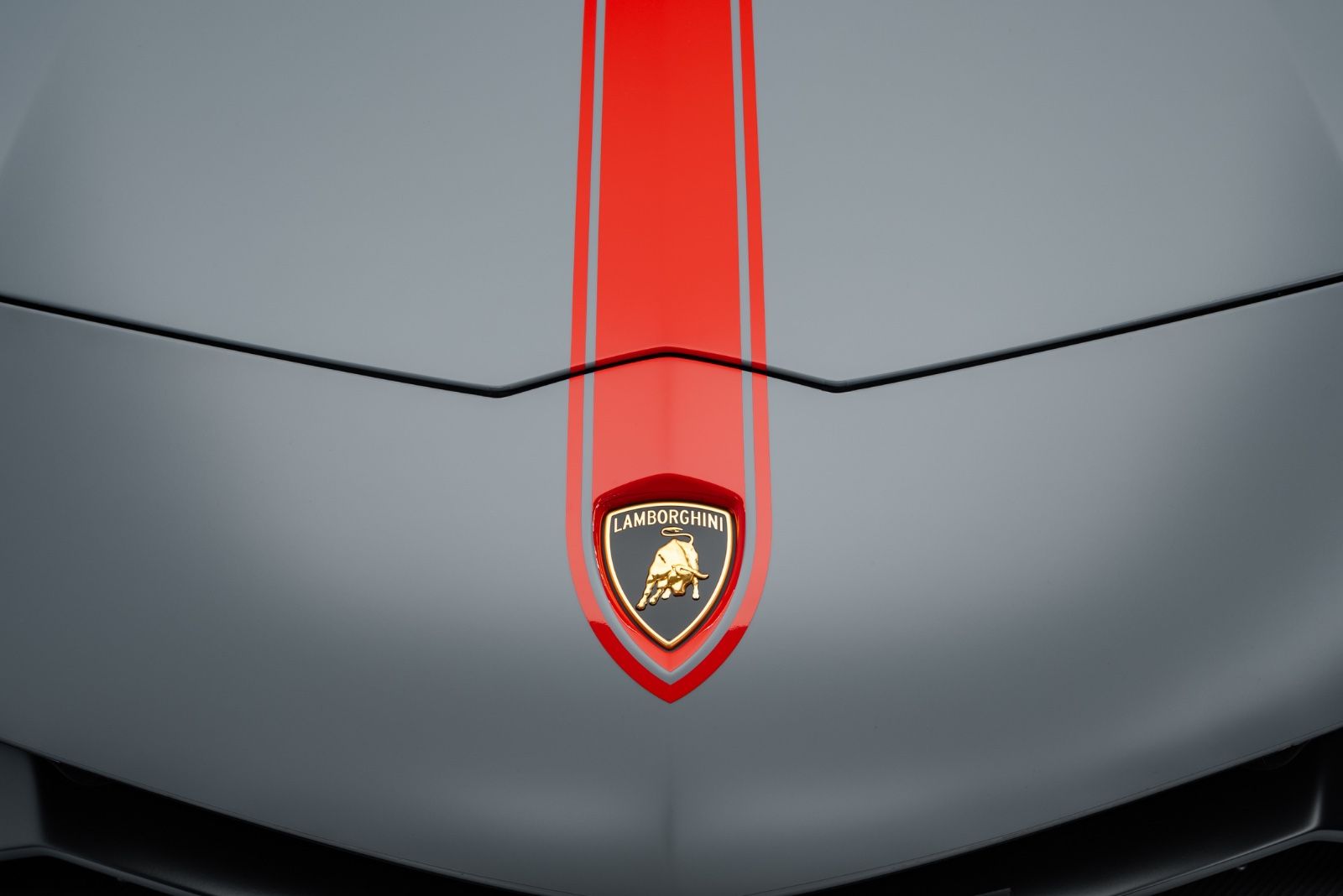 Fahrzeugabbildung Lamborghini Aventador Ultimae Roadster FULL CARBON/1 of 250