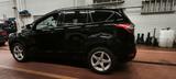 Ford Kuga 1,5 EcoBoost 4x2 110kW ST-Line ST-Line - Ford Kuga von privat