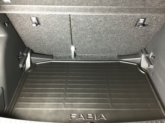 Fahrzeugabbildung Skoda Fabia Selection 1.0 TSI LED/Kamera/Tempo/SHZ/DAB
