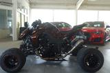 Kawasaki Exeet Black Bull 1000R No.7 of BB R LOF - Angebote entsprechen deinen Suchkriterien