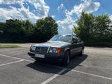Mercedes-Benz W124 230E, H-Kennzeichen, gepfleg - Mercedes-Benz E 230: W124
