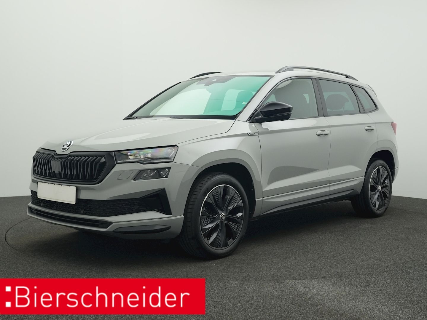Skoda Karoq - Bild 1