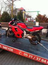 Triumph Daytona 955i - TRIUMPH 955 DAYTONA