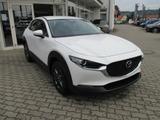 Mazda CX-30 5WGN 2.5L e-SKYACTIV G 140 FWD Prime-Line - Mazda CX-30 Gebrauchtwagen in Dresden