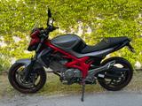 Suzuki Gladius (SFV650A) - Angebote entsprechen deinen Suchkriterien