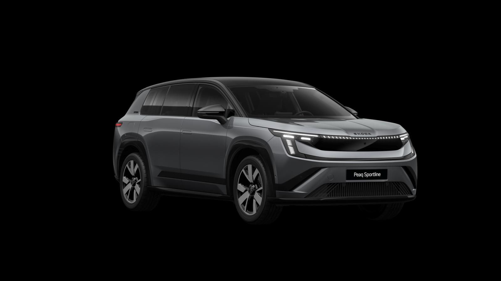 Skoda Andere - Bild 7