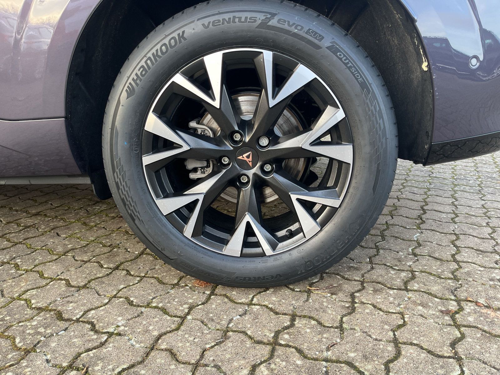 Cupra Terramar - Bild 16