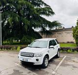 Land Rover Freelander 2.2 TD4 S.W. S - Land Rover Freelander aus 2013