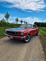 Ford Mustang 302 5-gang 5.0L HO - Ford: 302