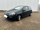 Fiat Punto TÜV NEU - gebrauchte Fiat Punto aus dem Jahr 2011