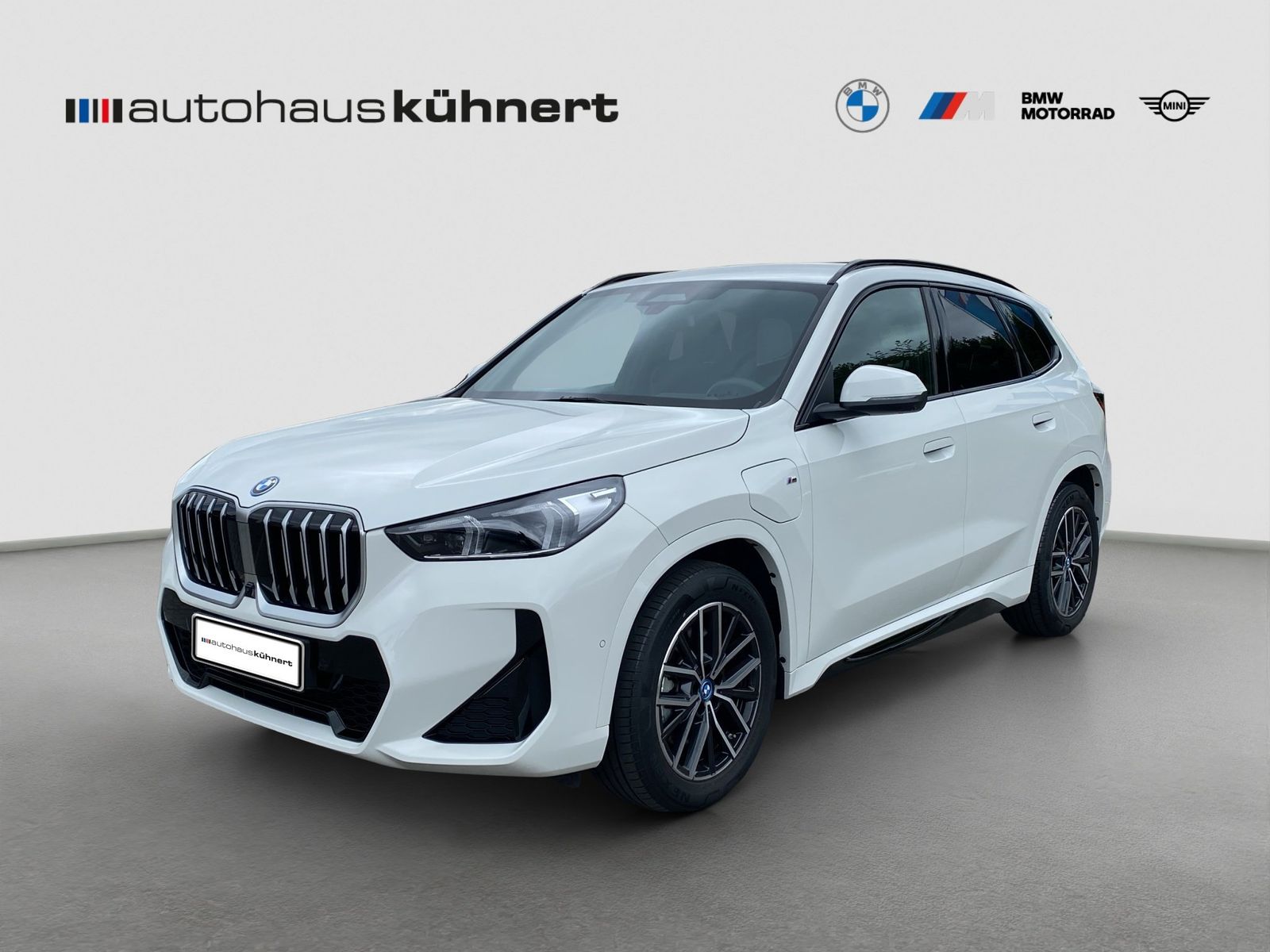 BMW X1 xDrive30e ///M-Sport ACC AHK HUD ParkA+ foto 2