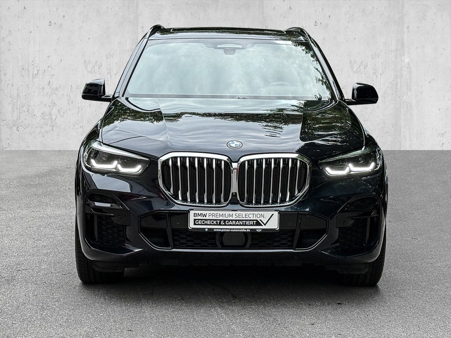 BMW X5 xDrive30d DA PROF PANO AHK Integral PA foto 3