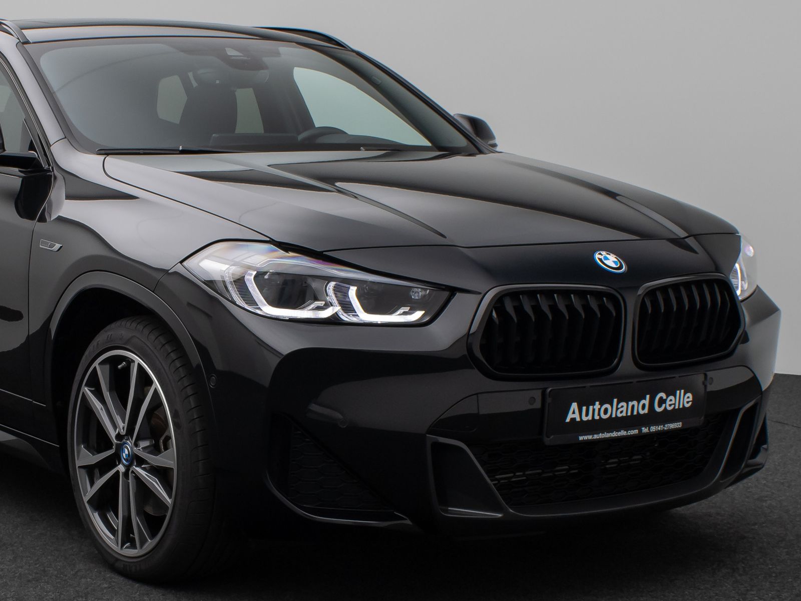 Fahrzeugabbildung BMW X2 xD25e M Sport HUD DAB Kamera Alarm Panorama