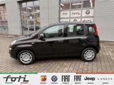 Fiat Panda 1.0 GSE 70PS Klima PDC DAB+ Radio - Fiat Panda: Schwarz