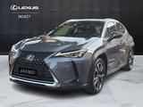 Lexus UX UX 250h 2.0 Premium 2wd cvt my20 - Lexus UX aus 2020