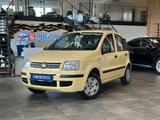 Fiat Panda 1.2 8V *Dynamic - Fiat Panda Dynamic mit Benzin-Antrieb