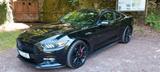 Ford Mustang 5.0, V8, Schaltgetriebe - Ford Mustang: 5.0