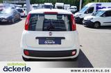 Fiat Panda Easy Klima I Isofix I HU+AU neu I - gebrauchte Fiat Panda aus dem Jahr 2019