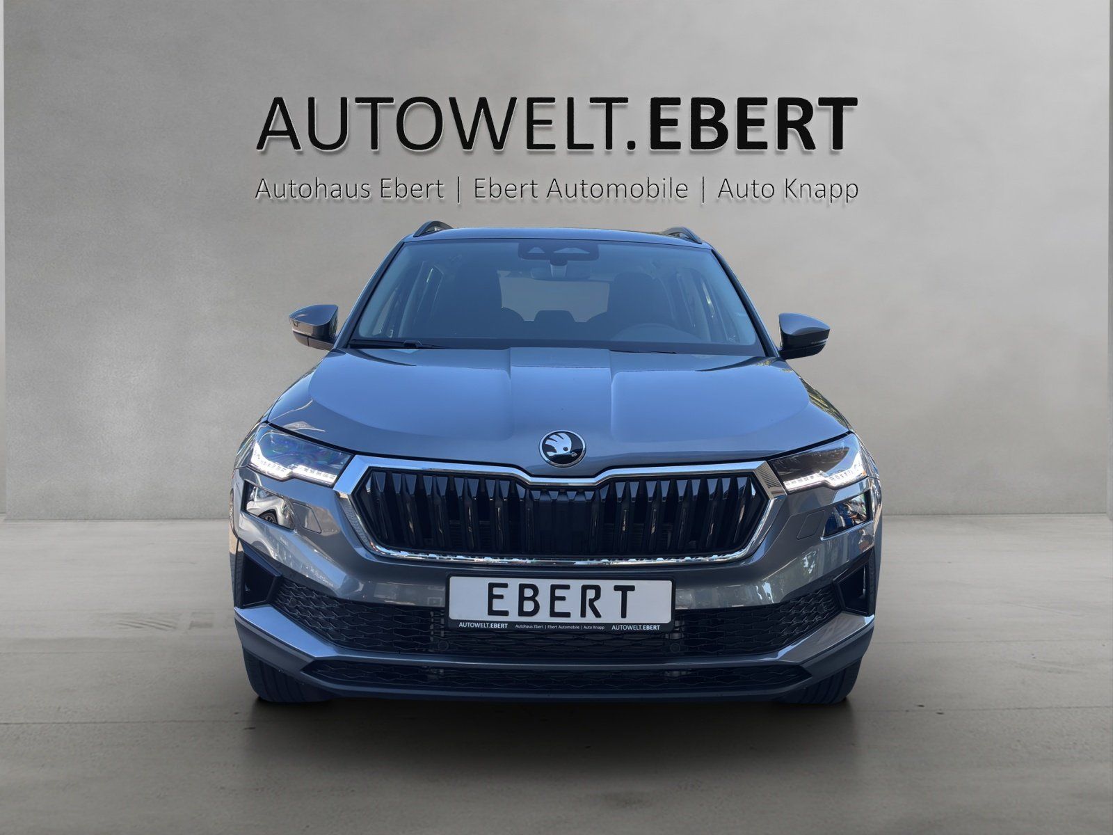Fahrzeugabbildung SKODA Karoq Balance 2,0 TDI 110 kW DSG