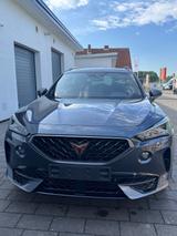 Cupra Formentor 2.0 TSI 228kW VZ 4Drive DSG VZ - Cupra Formentor: Von Privat